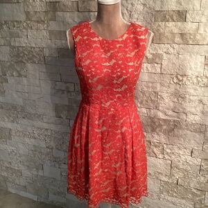 Soprano Coral Lace Fit and Flare Dress With Nude Lining